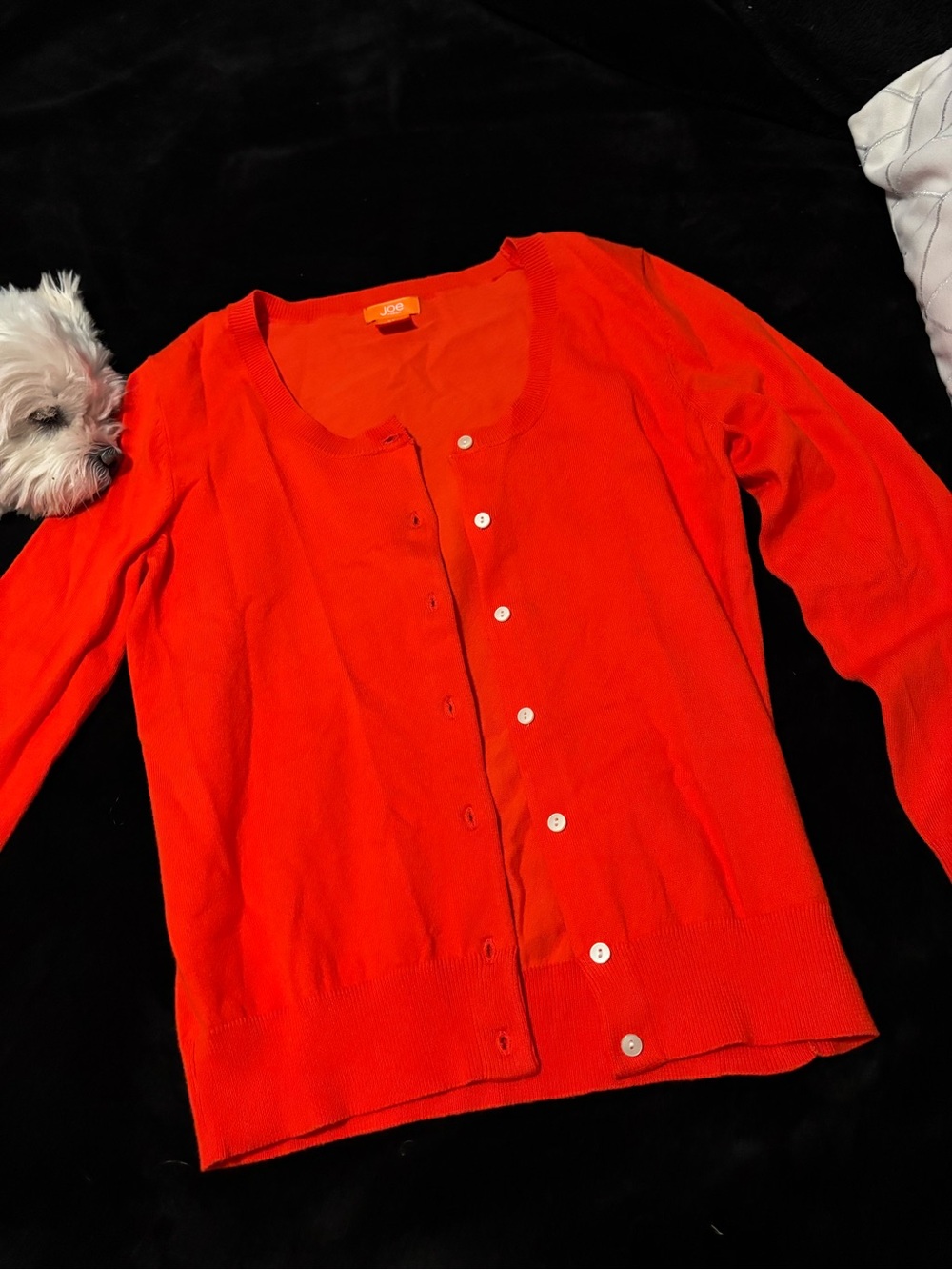 J. Crew Women's Vibrant Orange Crewneck Button Cardigan